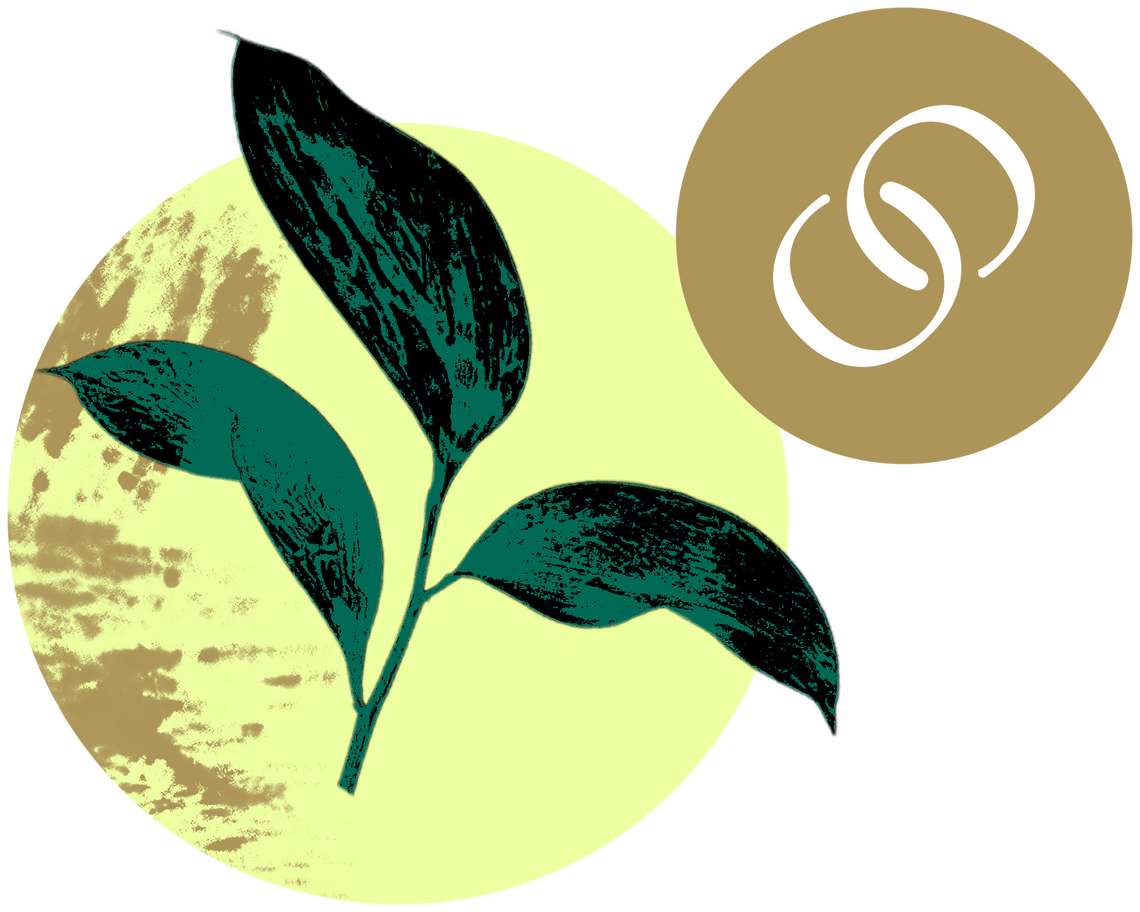 Bloom Forge Bloom Forge